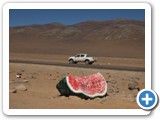148 DESERT ART